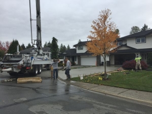 Captain concrete at work in Walnut Grove BC